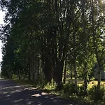 Cozy&comfy Nordic With Sauna & Big Private Yard 别墅