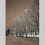 别墅 Cozy&comfy Nordic With Sauna & Big Private Yard 罗瓦涅米