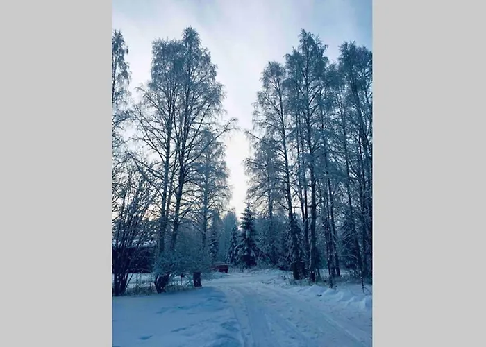 Cozy&comfy Nordic With Sauna & Big Private Yard