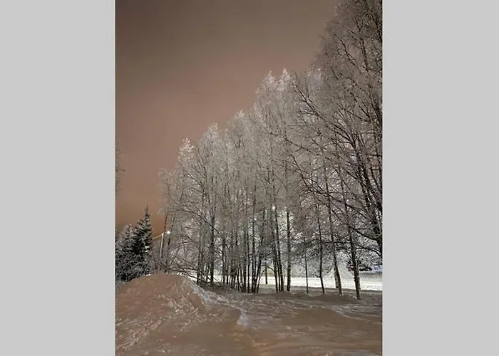 Villa Cozy&comfy Nordic With Sauna & Big Private Yard Rovaniemi